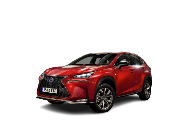 Car mats Lexus NX I (2014 - 2021)