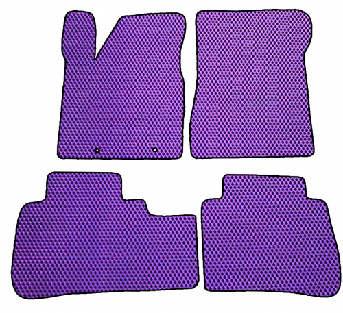 Car mats Nissan Murano I (2003 - 2007)