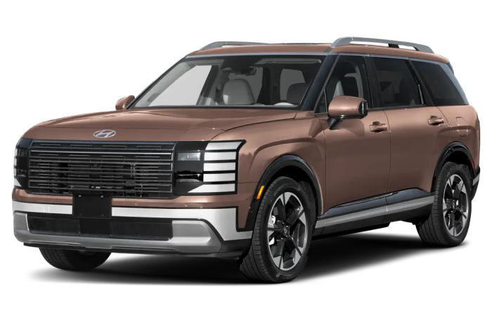Car mats Hyundai Palisade II (2026 - ...)