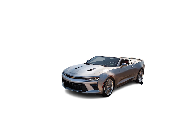 FloorLiner for Chevrolet Camaro VI (2016-...)