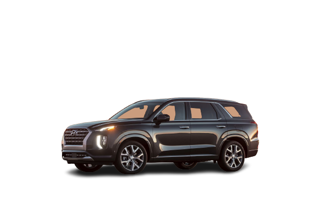 FloorLiner for Hyundai Palisade I (2019 - ...) FloorLiner for Hyundai Palisade I (2019 - ...)